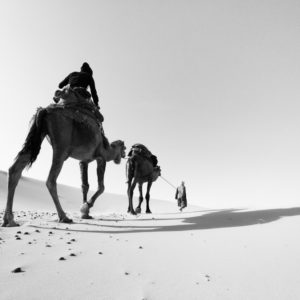 Sahara Desert, Sahara Desert Photo, Nature Photo